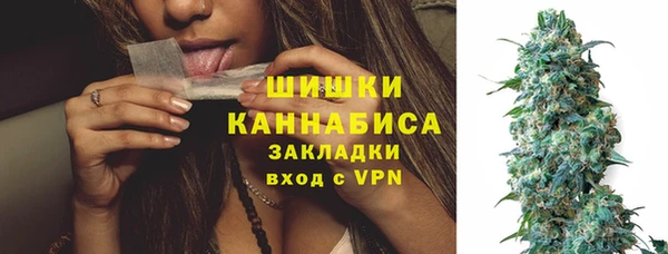 шишки Алексин