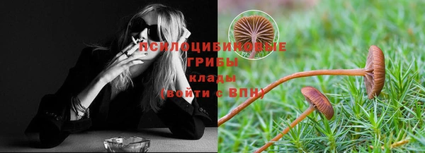2c-b Алзамай