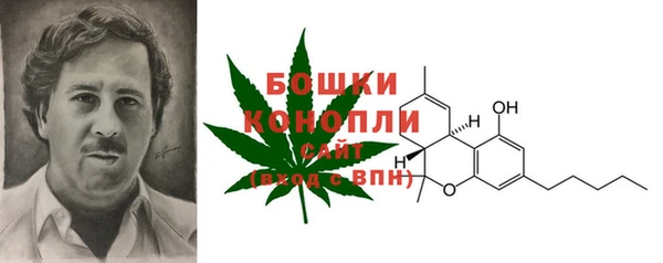 шишки Алексин