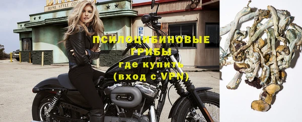 2c-b Алзамай