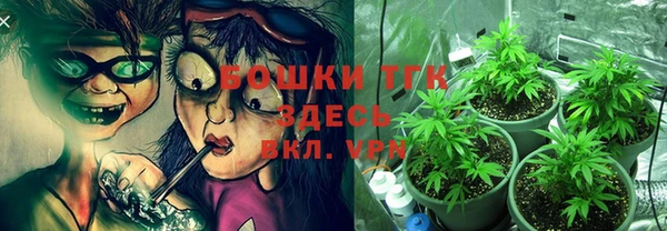шишки Алексин