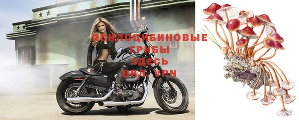 твердый Алексеевка