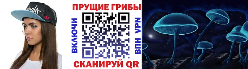 Псилоцибиновые грибы MAGIC MUSHROOMS  Мостовской 